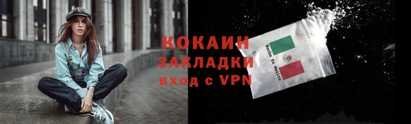 альфа пвп Бородино