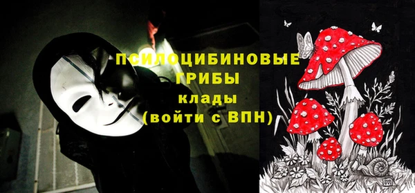 ешки Верея