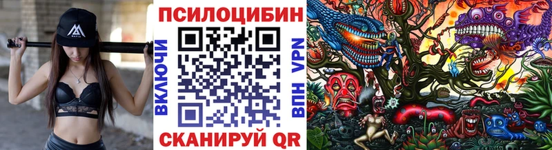 OMG рабочий сайт  Ижевск  Галлюциногенные грибы мухоморы 