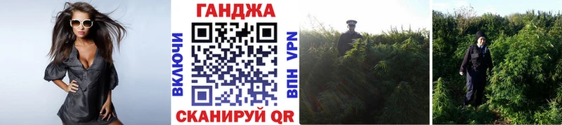 kraken онион  наркотики  Ижевск  Каннабис Bruce Banner 